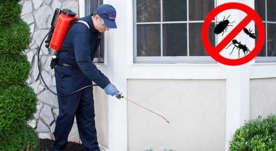 Buca Koop Hamam Böceği İlaçlama böcek ilaçlama ve haşere kontrolü — ilaclama-tr.com